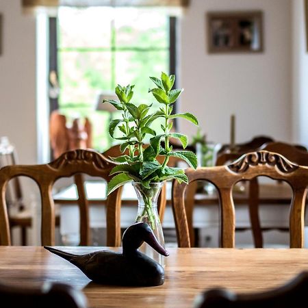 Gawliki Wielkie Dom Pod Skrzydlami B&B 외부 사진