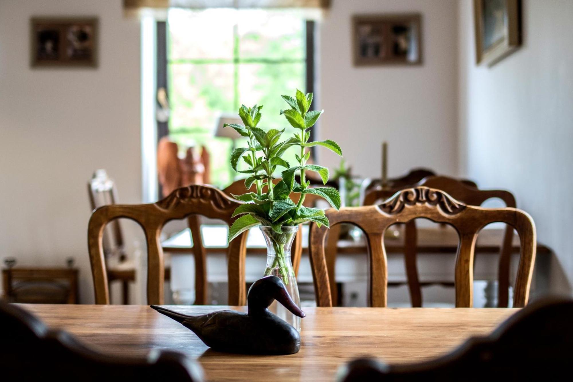 Gawliki Wielkie Dom Pod Skrzydlami B&B 외부 사진